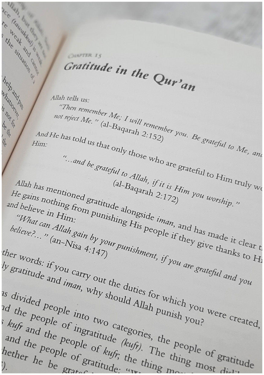 Patience and Gratitude