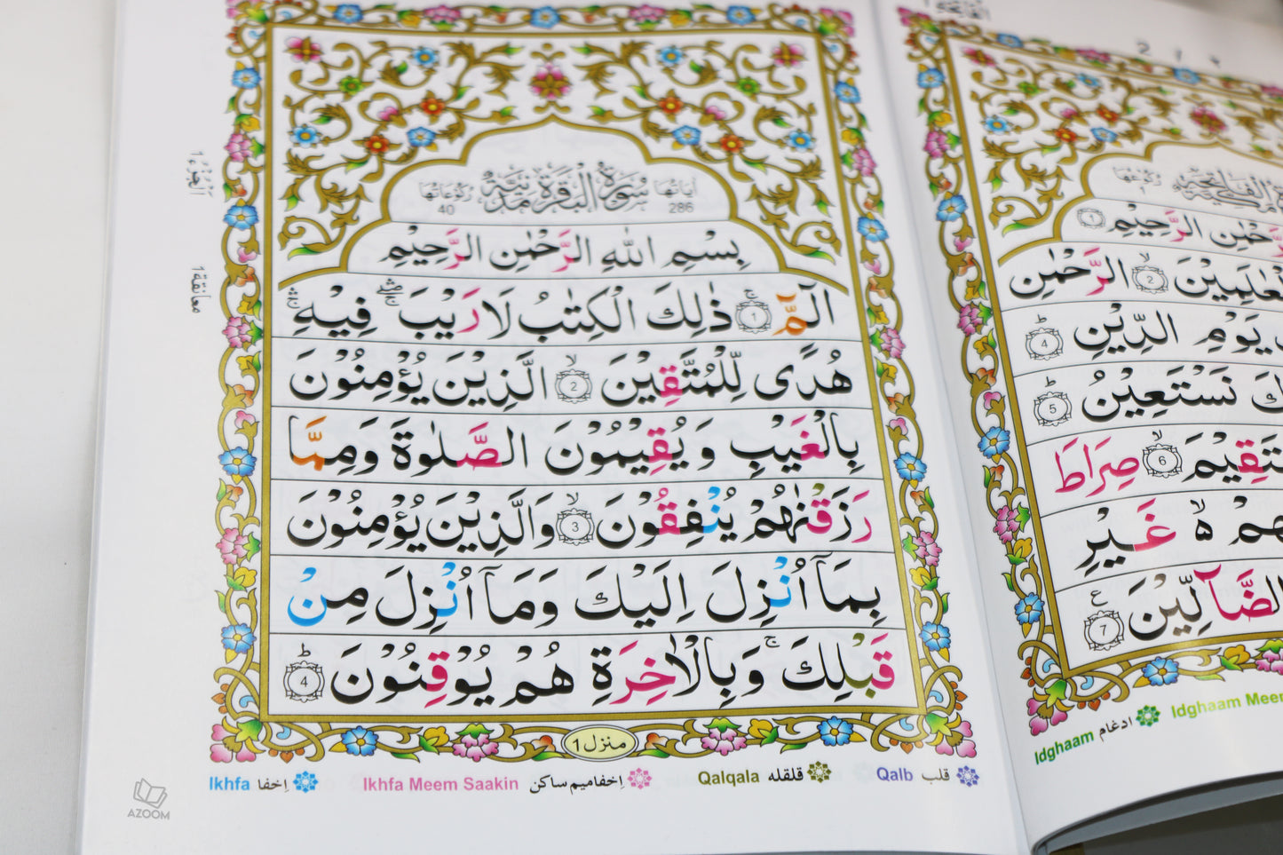 30 Para Set - Mushaf Quran Large Font with Colour Coded Tajweed Rules (247)
