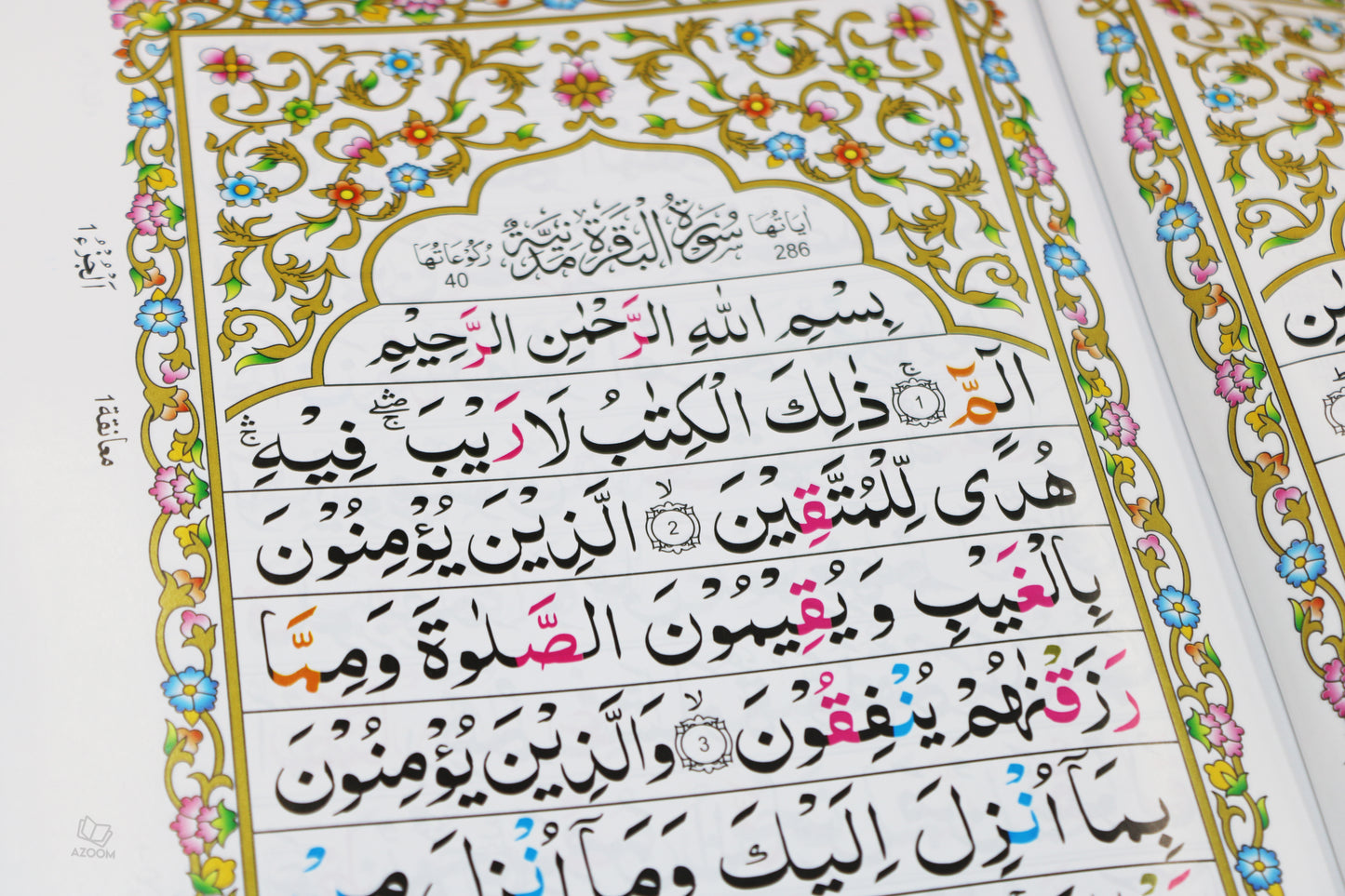 30 Para Set - Mushaf Quran Large Font with Colour Coded Tajweed Rules (247)