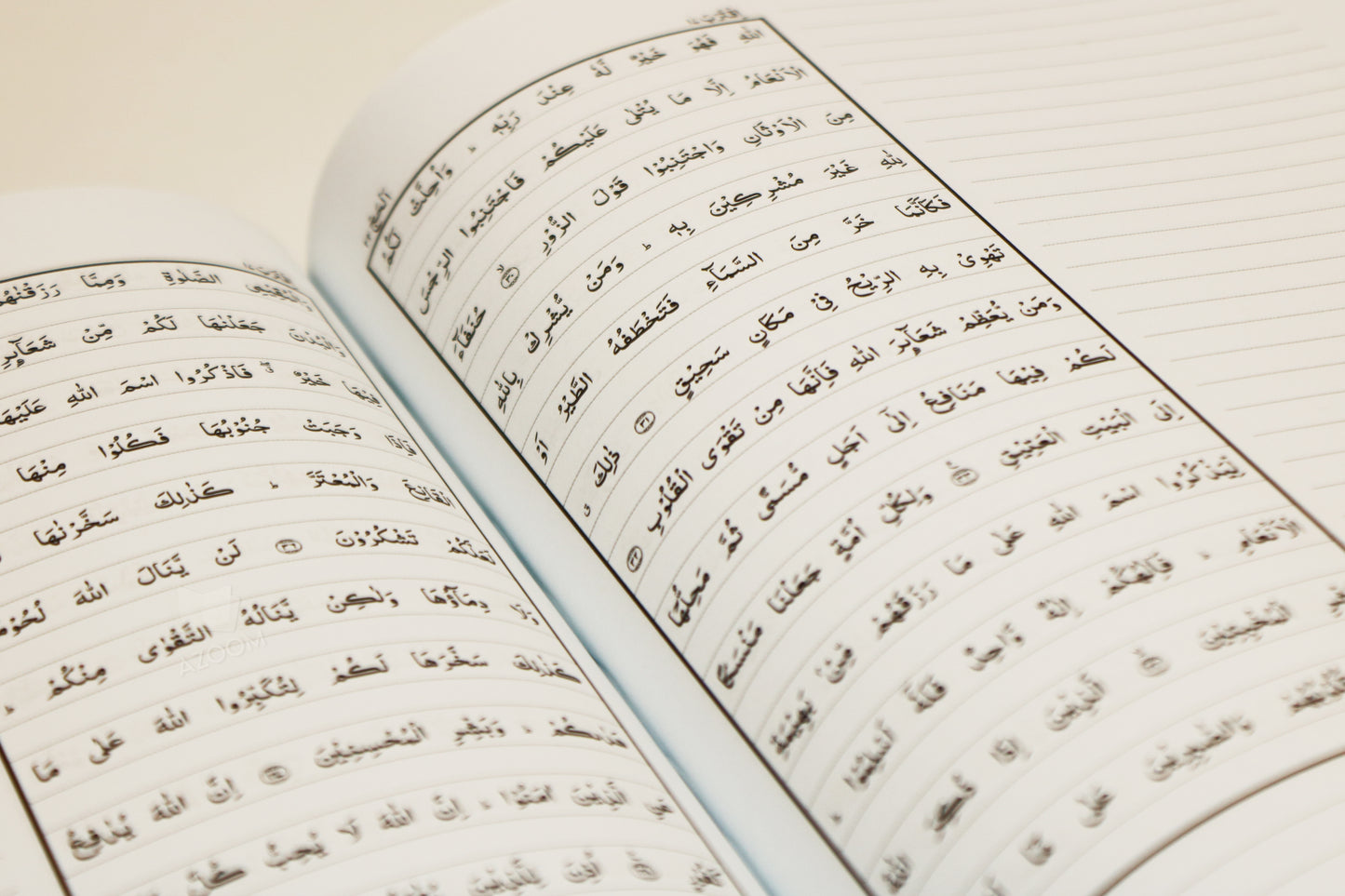 The Study Mushaf 13 Line South Asian Script (Hardback)