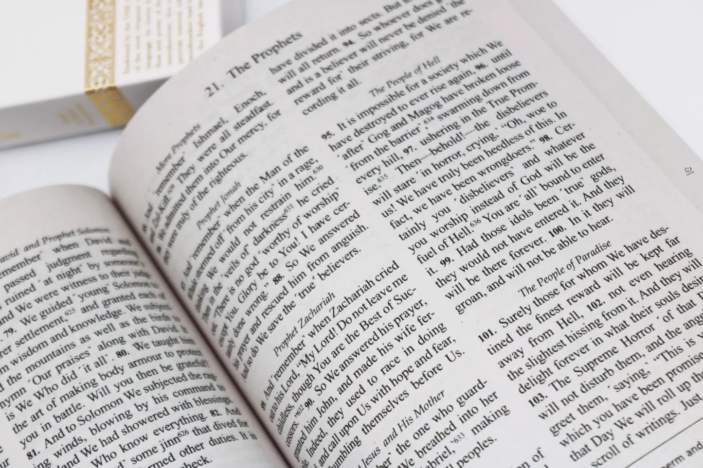 The Clear Quran - A Thematic English Translation