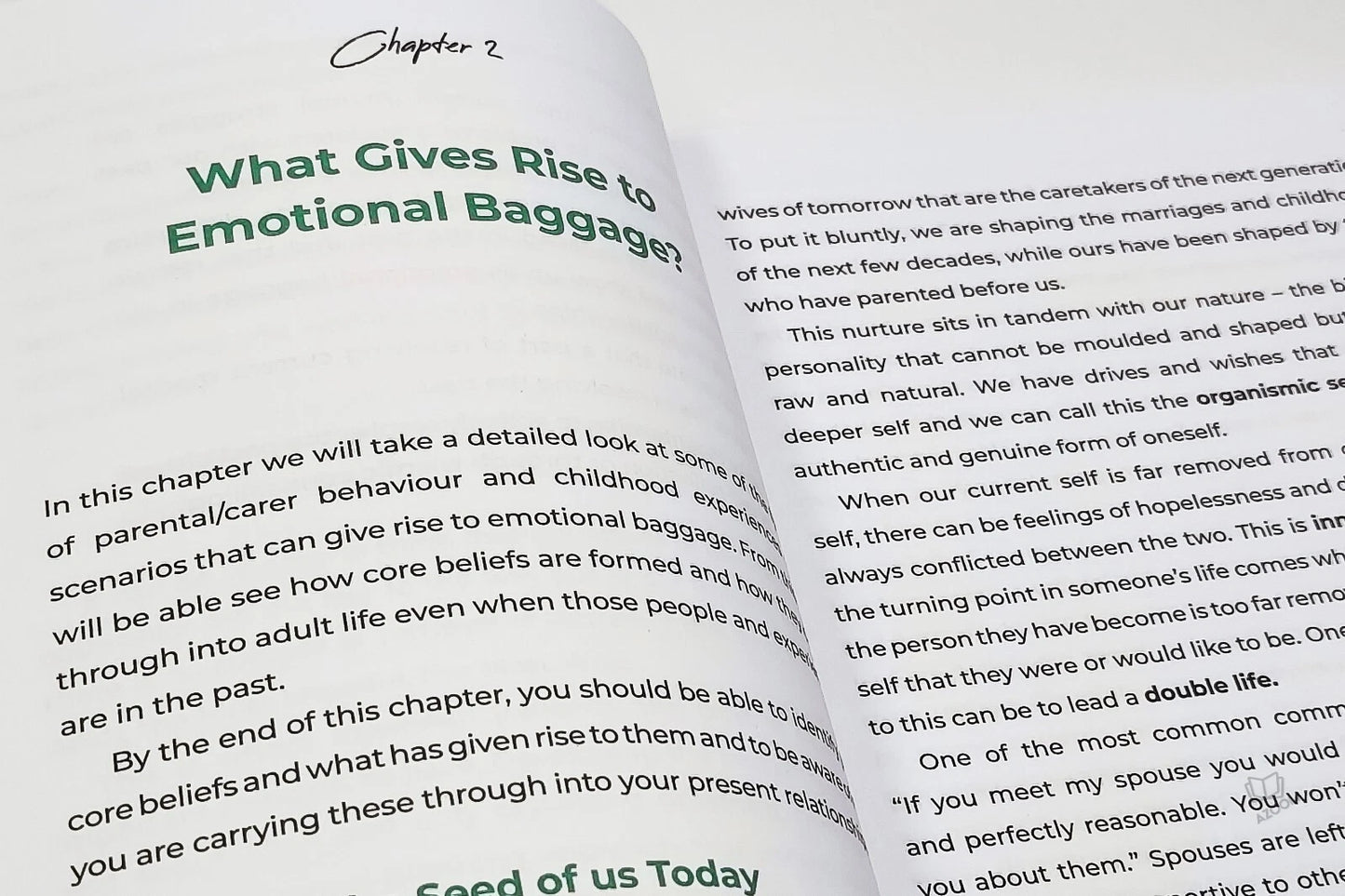 Secrets to Successful Families