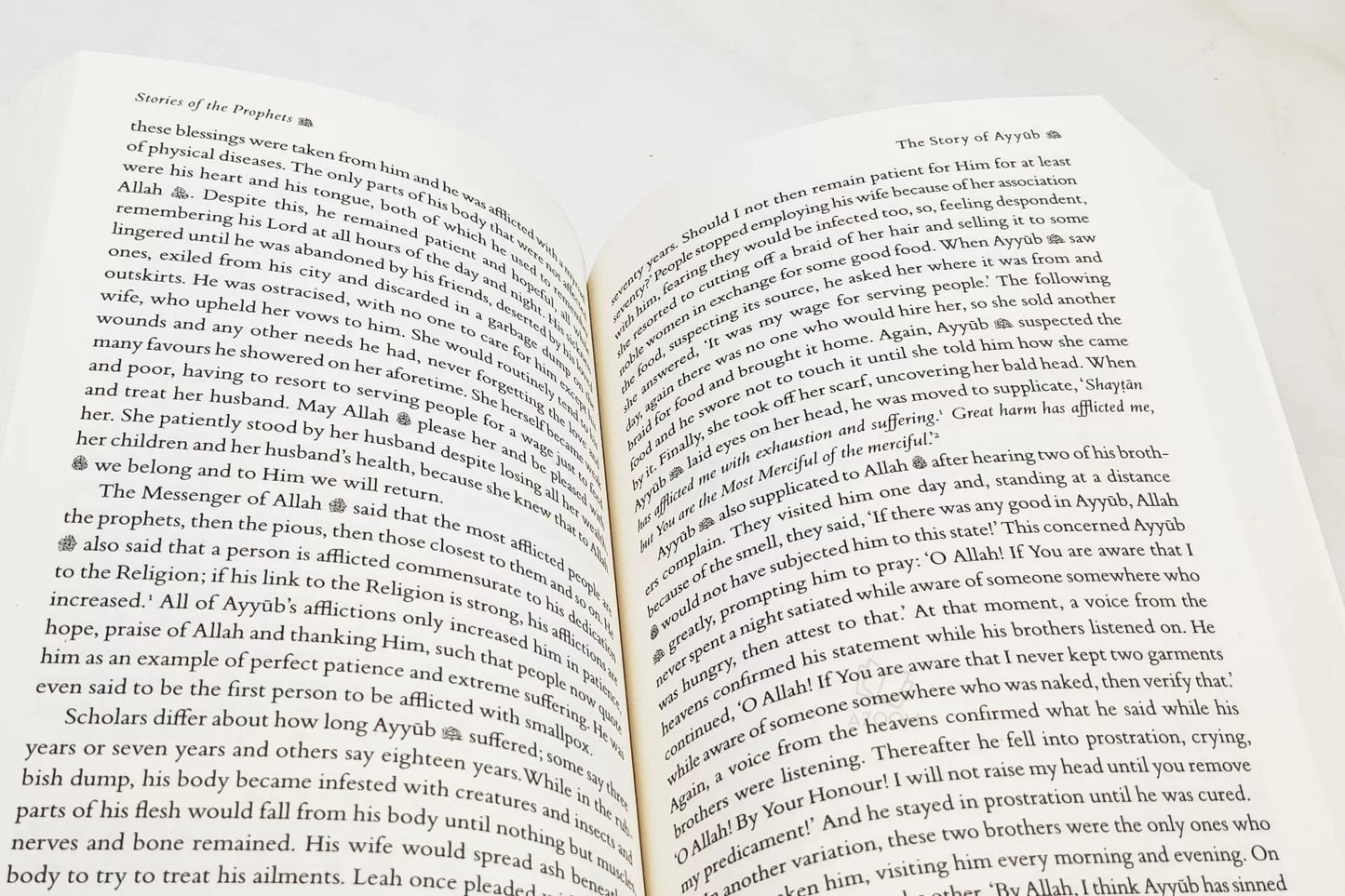 Stories of the Prophets - A Rendering from Ibn Kathir