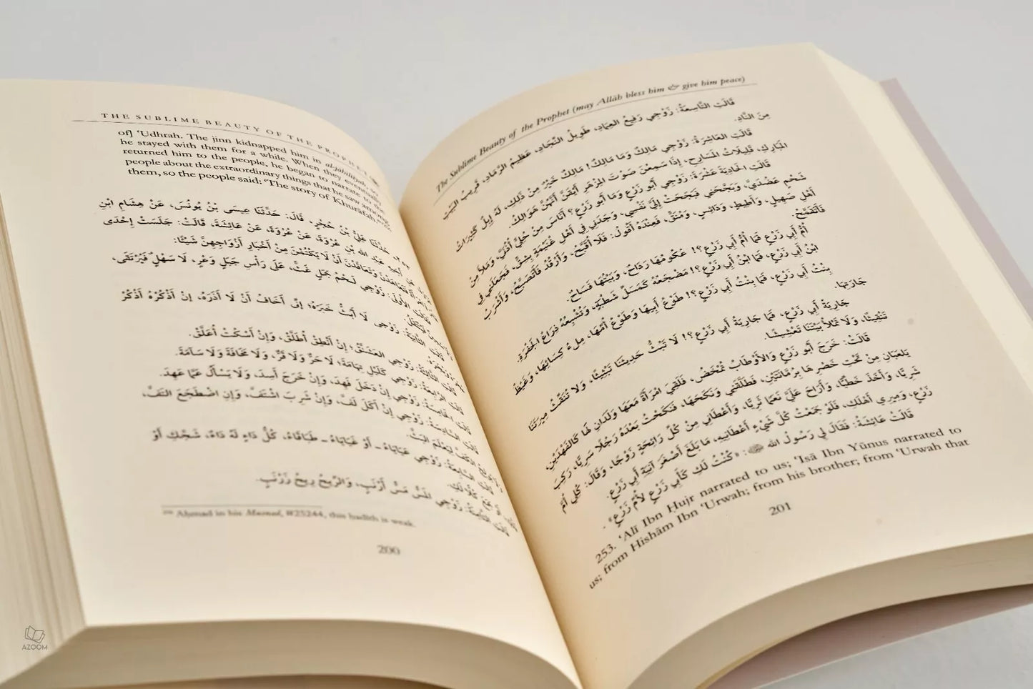 The Sublime Beauty Of the Prophet