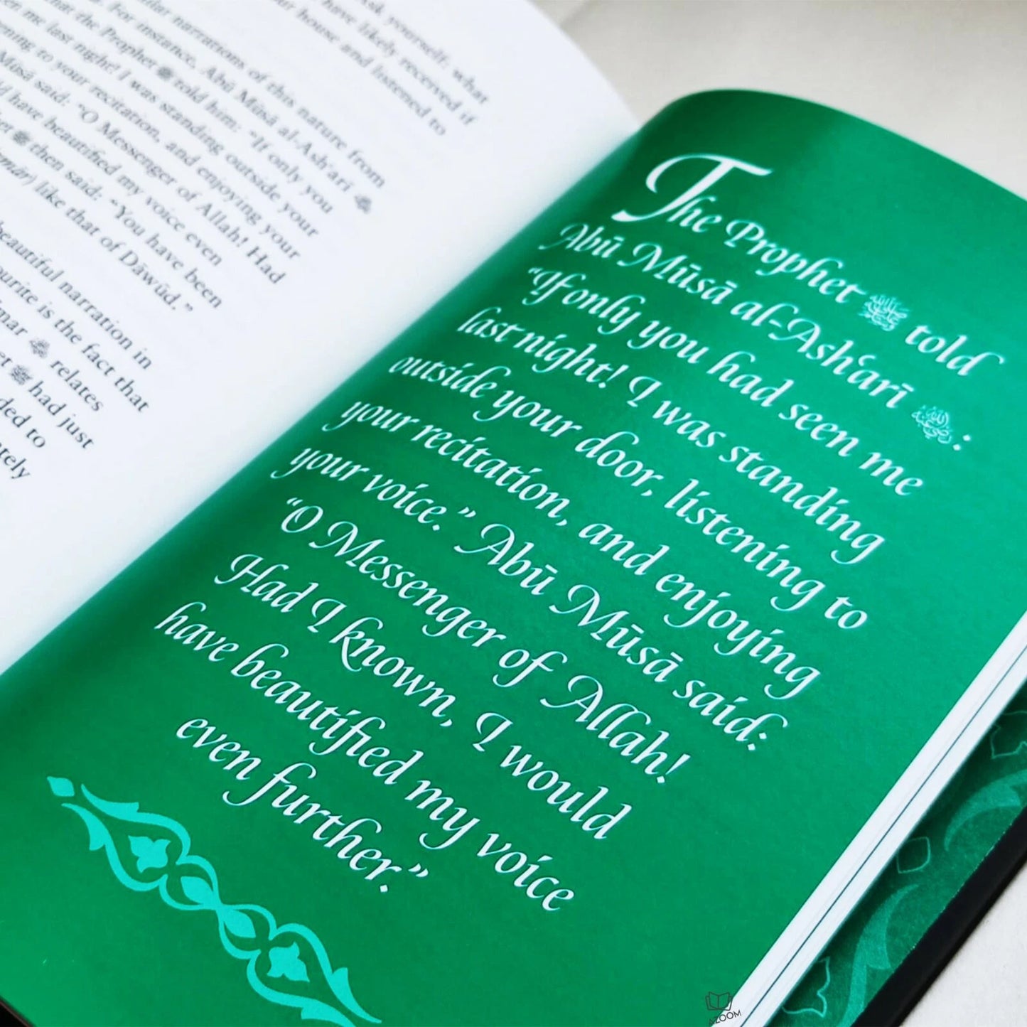 Meeting Muhammad ﷺ